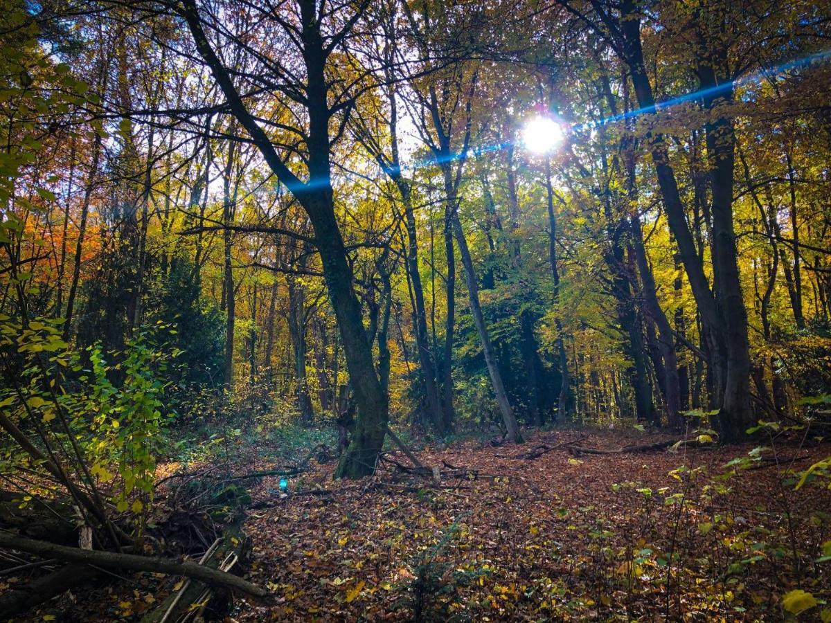 Hexenhaeuschen Dreieichenhain Εξωτερικό φωτογραφία